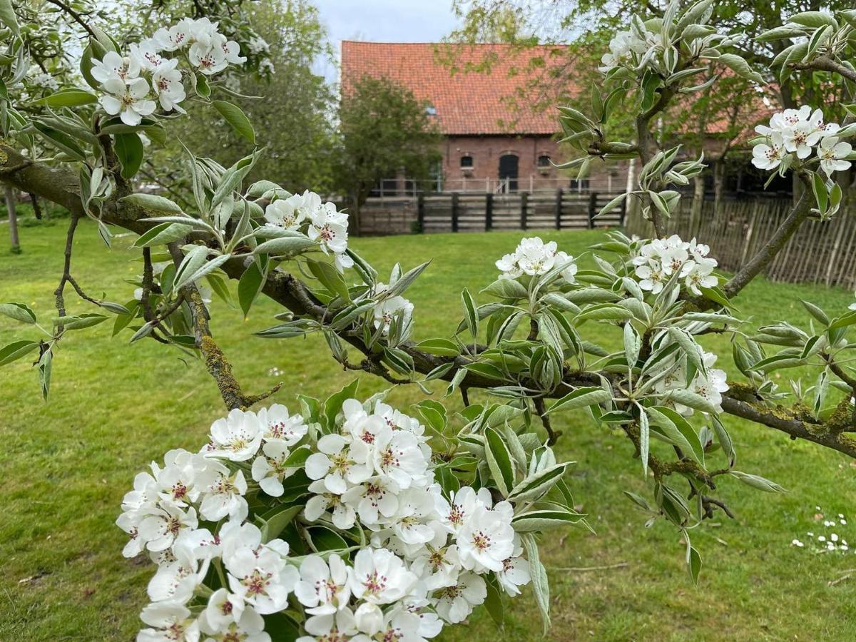 De Zeeuwsche Hoeve Kerkwerve Exterior foto