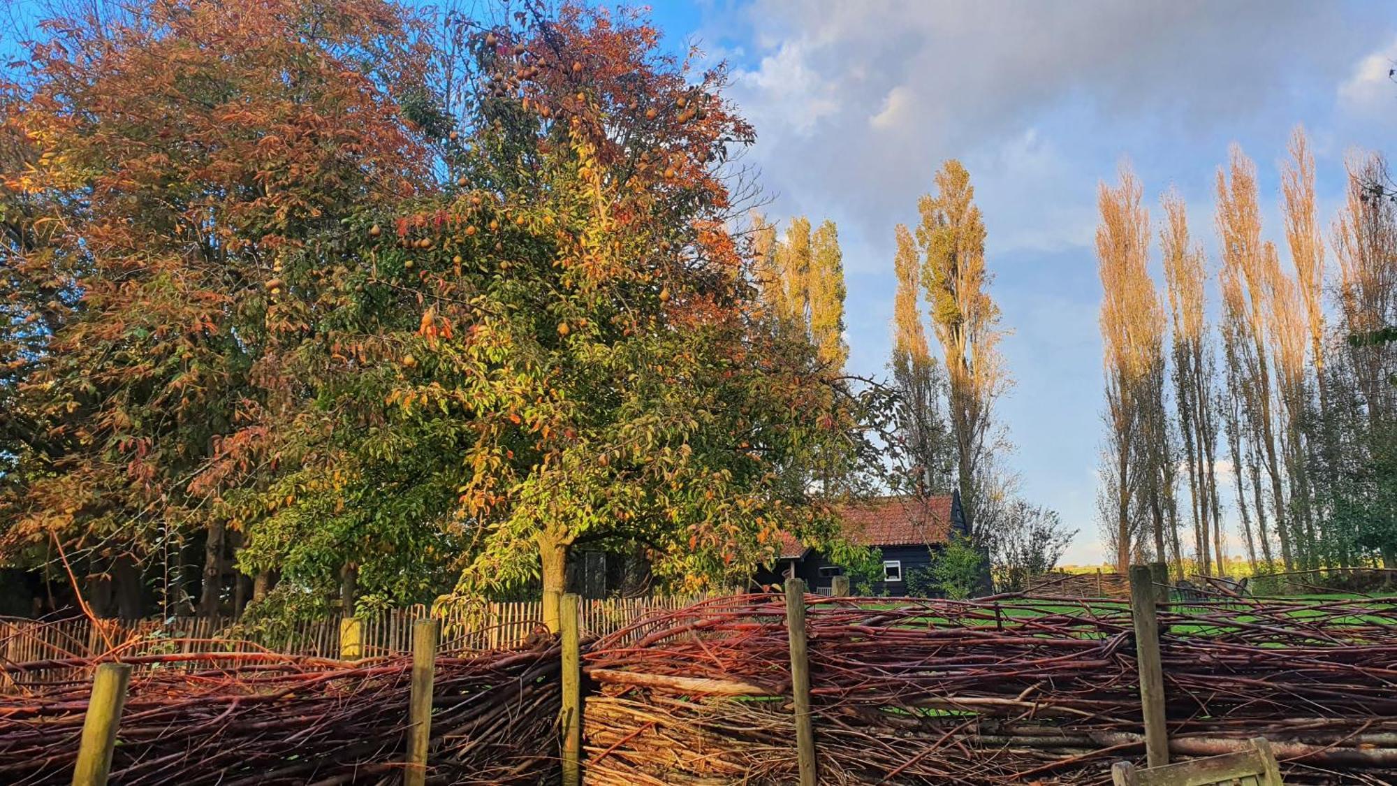 De Zeeuwsche Hoeve Kerkwerve Exterior foto