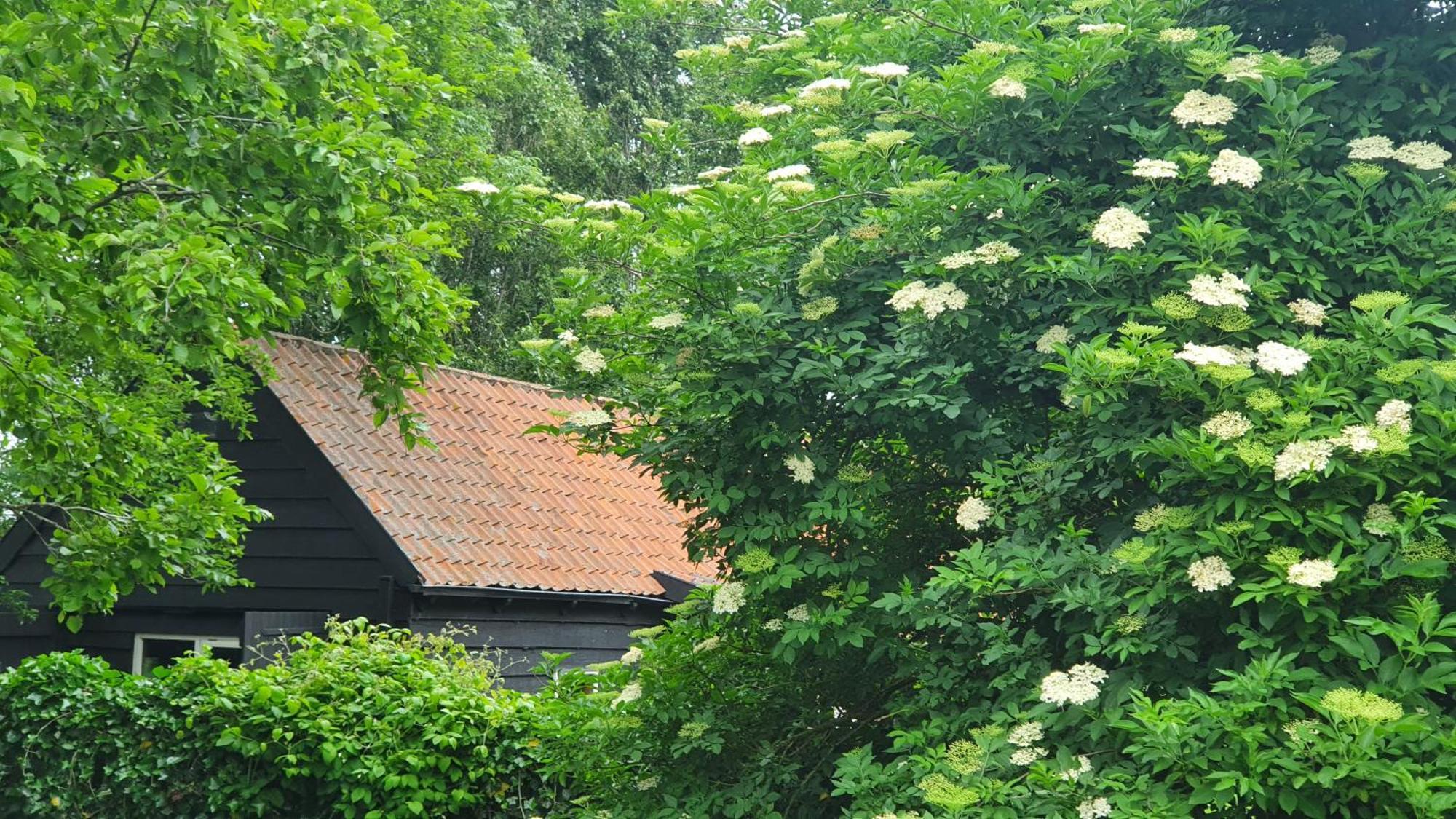 De Zeeuwsche Hoeve Kerkwerve Exterior foto