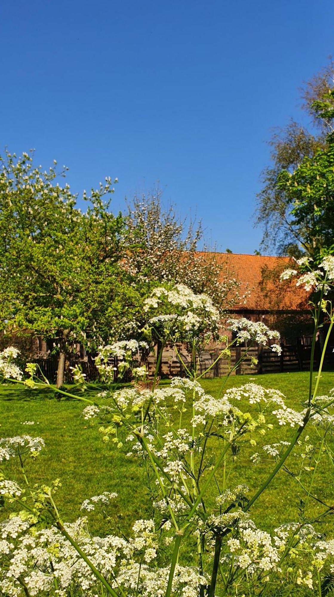De Zeeuwsche Hoeve Kerkwerve Exterior foto