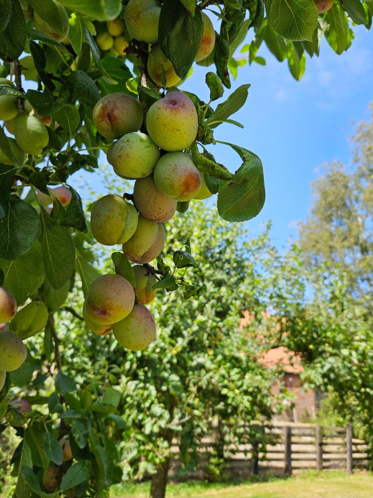 De Zeeuwsche Hoeve Kerkwerve Exterior foto